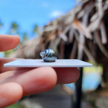 Load image into Gallery viewer, Civa Fiji Loose Saltwater Pearl - FJD$