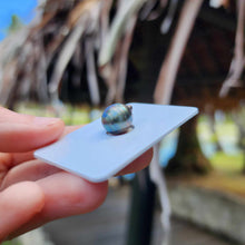 Load image into Gallery viewer, Civa Fiji Loose Saltwater Pearl - FJD$