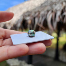 Load image into Gallery viewer, Civa Fiji Loose Saltwater Pearl - FJD$