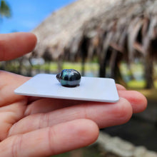 Load image into Gallery viewer, Civa Fiji Loose Saltwater Pearl - FJD$