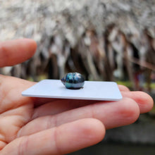 Load image into Gallery viewer, Civa Fiji Loose Saltwater Pearl - FJD$