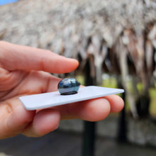 Load image into Gallery viewer, Civa Fiji Loose Saltwater Pearl - FJD$