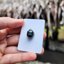 Load image into Gallery viewer, Civa Fiji Loose Saltwater Pearl - FJD$
