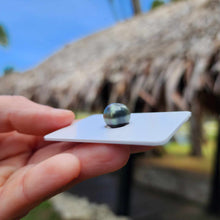 Load image into Gallery viewer, Civa Fiji Loose Saltwater Pearl - FJD$