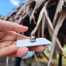 Load image into Gallery viewer, Civa Fiji Loose Saltwater Pearl - FJD$