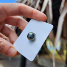 Load image into Gallery viewer, Civa Fiji Loose Saltwater Pearl - FJD$