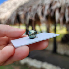 Load image into Gallery viewer, Civa Fiji Loose Saltwater Pearl - FJD$