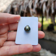 Load image into Gallery viewer, Civa Fiji Loose Saltwater Pearl - FJD$