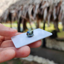 Load image into Gallery viewer, Civa Fiji Loose Saltwater Pearl - FJD$