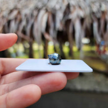 Load image into Gallery viewer, Civa Fiji Loose Saltwater Pearl - FJD$