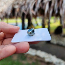 Load image into Gallery viewer, Civa Fiji Loose Saltwater Pearl - FJD$