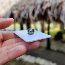 Load image into Gallery viewer, Civa Fiji Loose Saltwater Pearl - FJD$