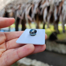 Load image into Gallery viewer, Civa Fiji Loose Saltwater Pearl - FJD$