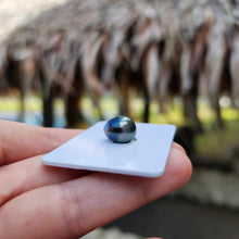 Load image into Gallery viewer, Civa Fiji Loose Saltwater Pearl - FJD$