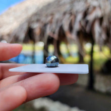 Load image into Gallery viewer, Civa Fiji Loose Saltwater Pearl - FJD$