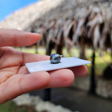 Load image into Gallery viewer, Civa Fiji Loose Saltwater Pearl - FJD$