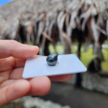 Load image into Gallery viewer, Civa Fiji Loose Saltwater Pearl - FJD$