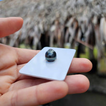 Load image into Gallery viewer, Civa Fiji Loose Saltwater Pearl - FJD$