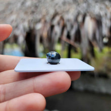 Load image into Gallery viewer, Civa Fiji Loose Saltwater Pearl - FJD$