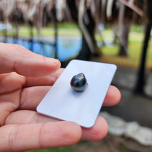 Load image into Gallery viewer, Civa Fiji Loose Saltwater Pearl - FJD$