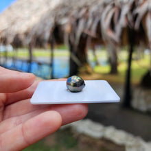 Load image into Gallery viewer, Civa Fiji Loose Saltwater Pearl - FJD$