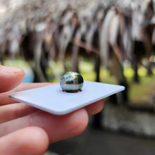 Load image into Gallery viewer, Civa Fiji Loose Saltwater Pearl - FJD$