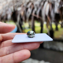 Load image into Gallery viewer, Civa Fiji Loose Saltwater Pearl - FJD$