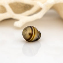 Load image into Gallery viewer, Civa Fiji Loose Saltwater Pearl - FJD$