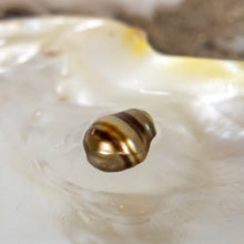 Load image into Gallery viewer, Civa Fiji Loose Saltwater Pearl - FJD$