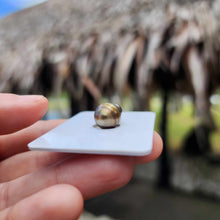 Load image into Gallery viewer, Civa Fiji Loose Saltwater Pearl - FJD$