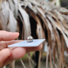 Load image into Gallery viewer, Civa Fiji Loose Saltwater Pearl - FJD$