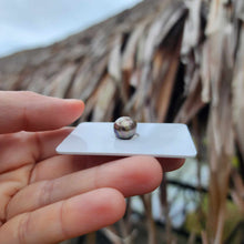 Load image into Gallery viewer, Civa Fiji Loose Saltwater Pearl - FJD$