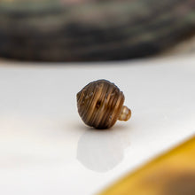 Load image into Gallery viewer, Civa Fiji Loose Saltwater Pearl - FJD$