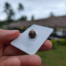 Load image into Gallery viewer, Civa Fiji Loose Saltwater Pearl - FJD$