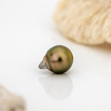 Load image into Gallery viewer, Civa Fiji Loose Saltwater Pearl - FJD$