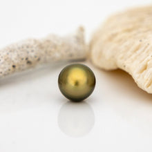 Load image into Gallery viewer, Civa Fiji Loose Saltwater Pearl - FJD$