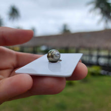 Load image into Gallery viewer, Civa Fiji Loose Saltwater Pearl - FJD$