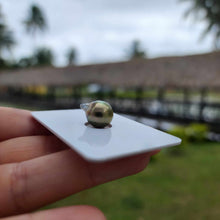Load image into Gallery viewer, Civa Fiji Loose Saltwater Pearl - FJD$