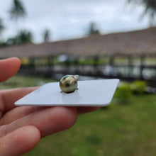 Load image into Gallery viewer, Civa Fiji Loose Saltwater Pearl - FJD$