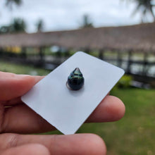 Load image into Gallery viewer, Civa Fiji Loose Saltwater Pearl - FJD$