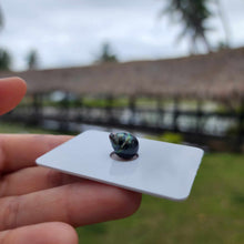 Load image into Gallery viewer, Civa Fiji Loose Saltwater Pearl - FJD$