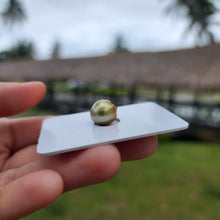 Load image into Gallery viewer, Civa Fiji Loose Saltwater Pearl - FJD$