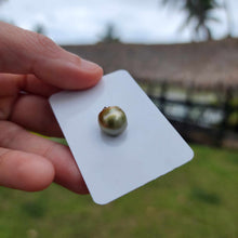 Load image into Gallery viewer, Civa Fiji Loose Saltwater Pearl - FJD$