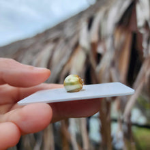 Load image into Gallery viewer, Civa Fiji Loose Saltwater Pearl - FJD$