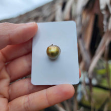 Load image into Gallery viewer, Civa Fiji Loose Saltwater Pearl - FJD$