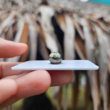Load image into Gallery viewer, Civa Fiji Loose Saltwater Pearl - FJD$