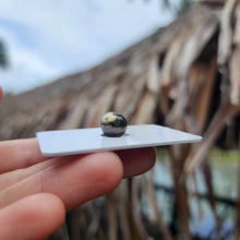 Load image into Gallery viewer, Civa Fiji Loose Saltwater Pearl - FJD$