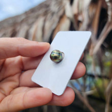 Load image into Gallery viewer, Civa Fiji Loose Saltwater Pearl - FJD$