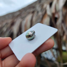 Load image into Gallery viewer, Civa Fiji Loose Saltwater Pearl - FJD$