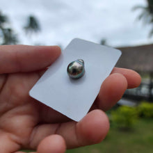 Load image into Gallery viewer, Civa Fiji Loose Saltwater Pearl - FJD$